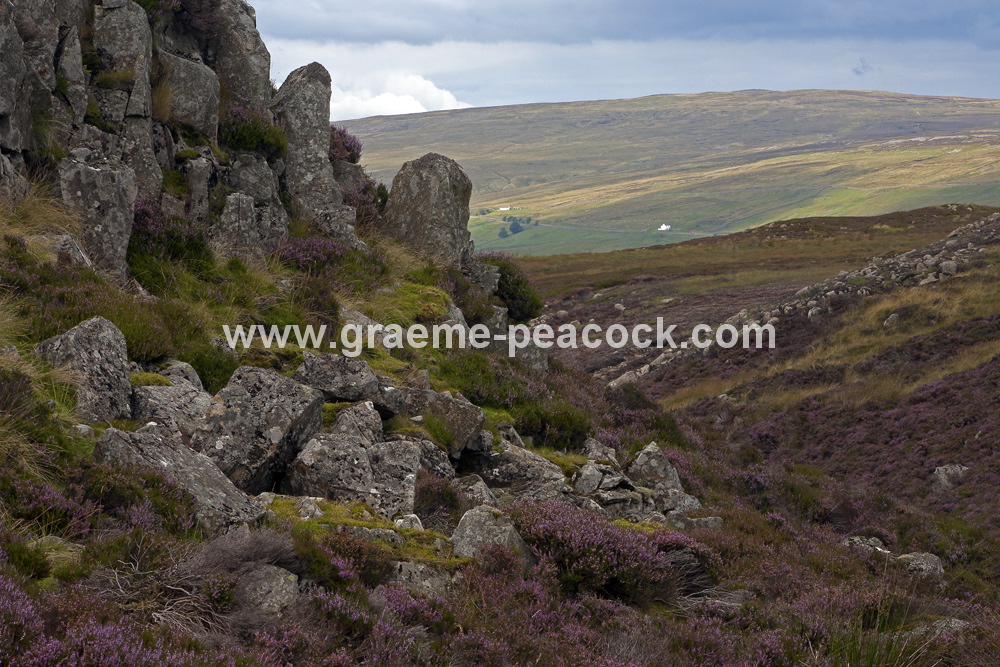 Cronkley Fell near Langdon Beck, Teesdale, County Durham