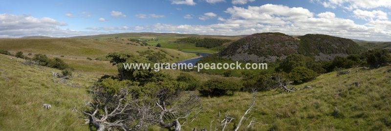Bracken Rigg and River Tees, Teesdale, County Durham
