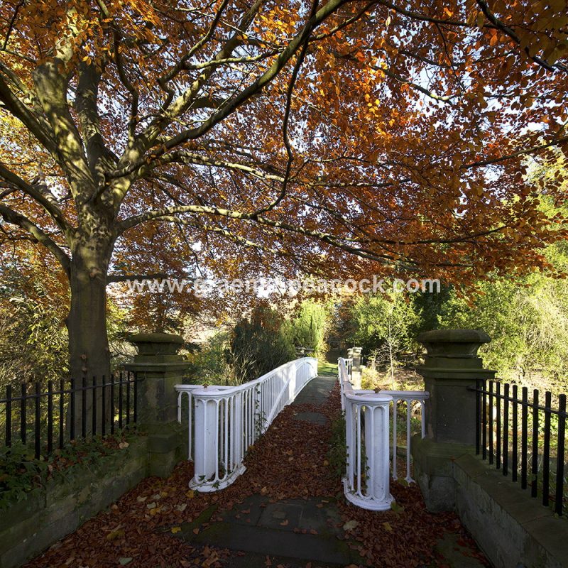 Blagdon Estate in Autumn near Cramlington, Northumberland