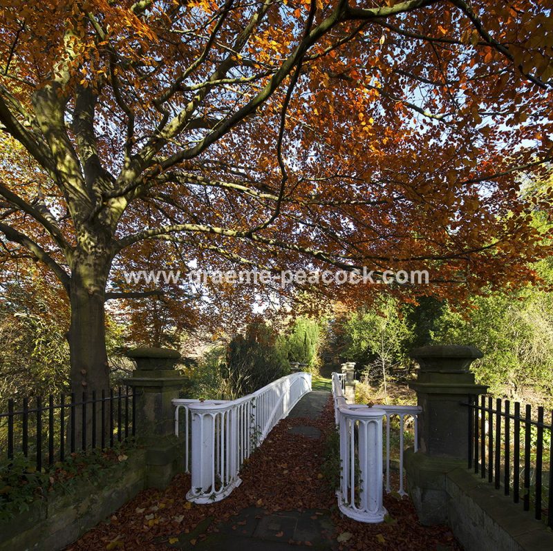 Blagdon Estate in Autumn near Cramlington, Northumberland