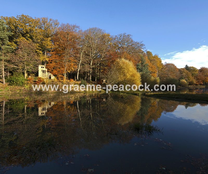 Blagdon Estate in Autumn near Cramlington, Northumberland