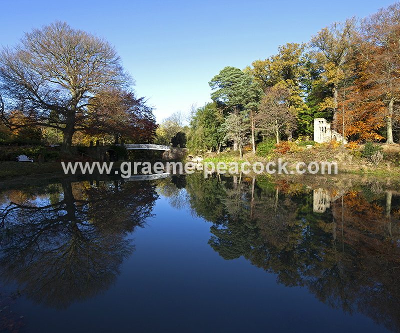 Blagdon Estate in Autumn near Cramlington, Northumberland