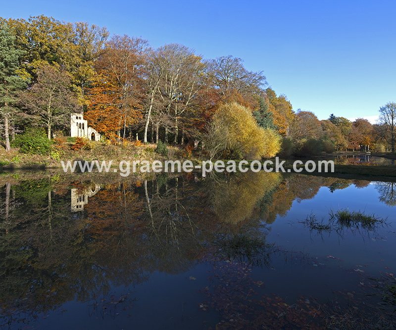 Blagdon Estate in Autumn near Cramlington, Northumberland