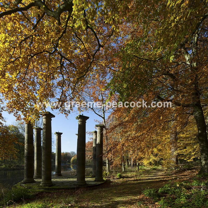 Blagdon Estate in Autumn near Cramlington, Northumberland