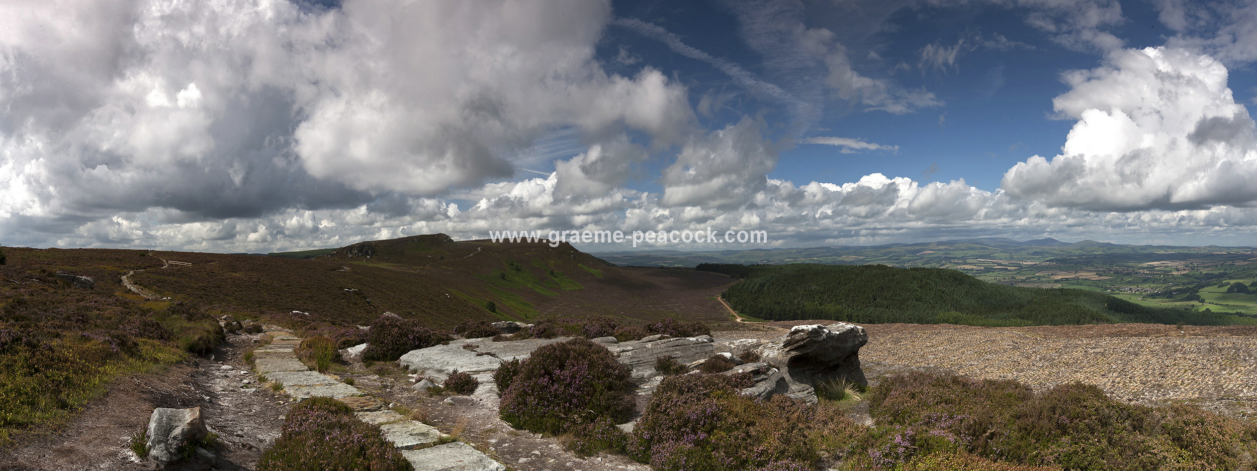 Heather moorland on Simonside in Coquetdale near Rothbury, Northumberland