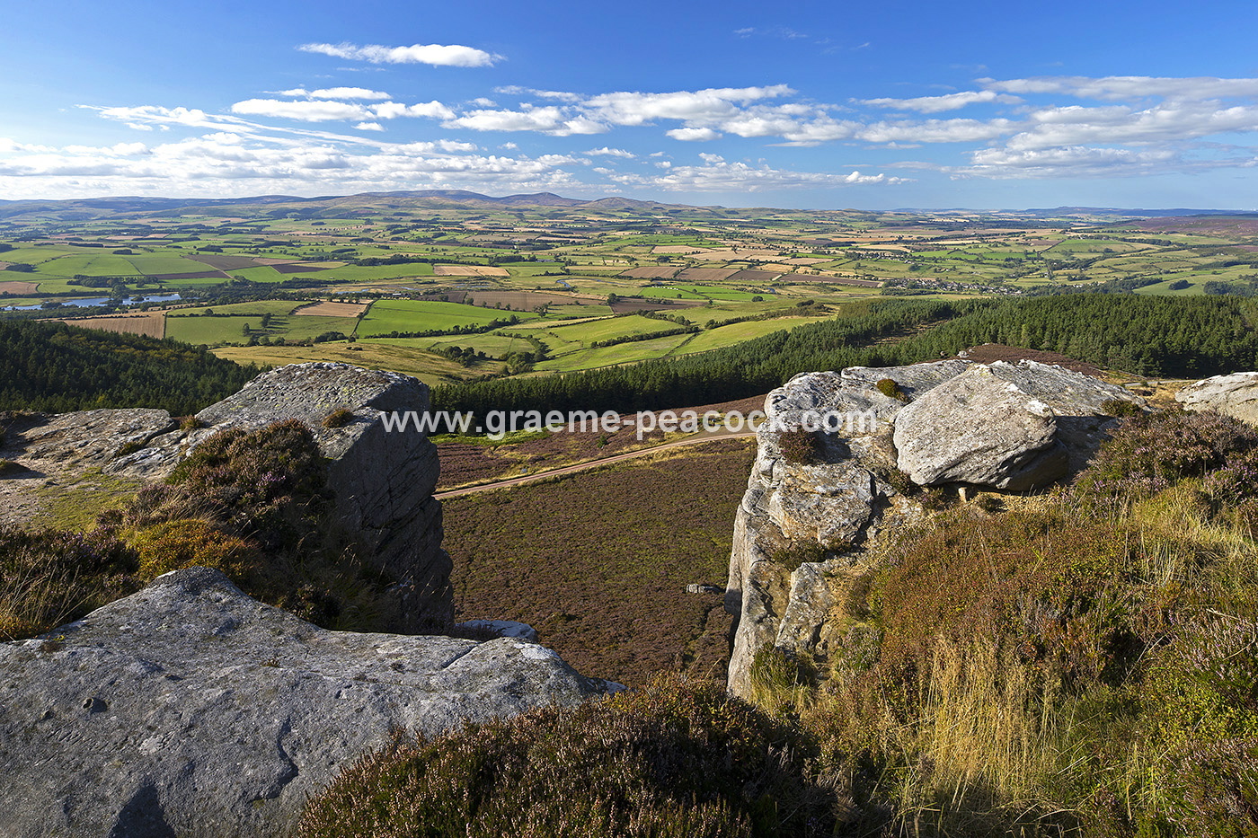 Heather moorland on Simonside in Coquetdale near Rothbury, Northumberland