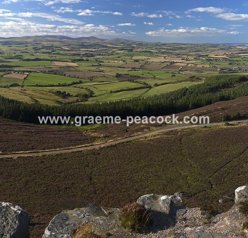 Heather moorland on Simonside in Coquetdale near Rothbury, Northumberland