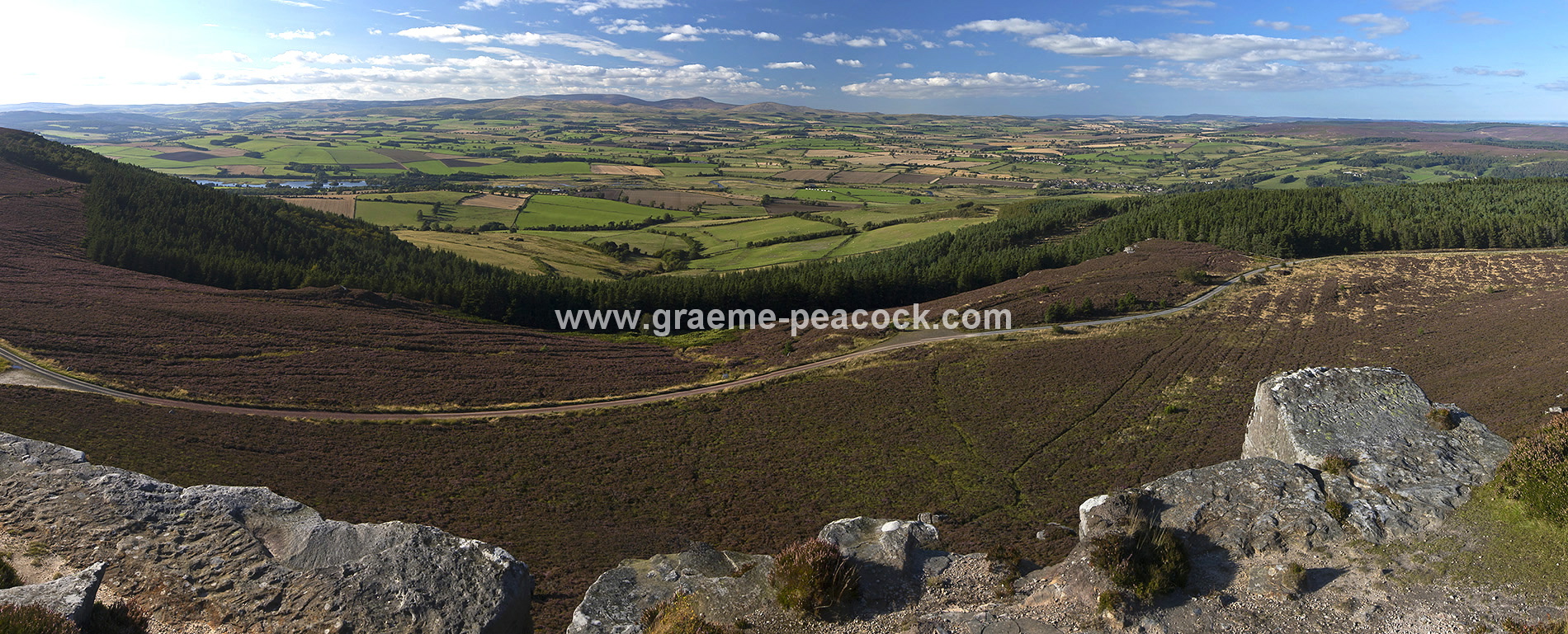 Heather moorland on Simonside in Coquetdale near Rothbury, Northumberland