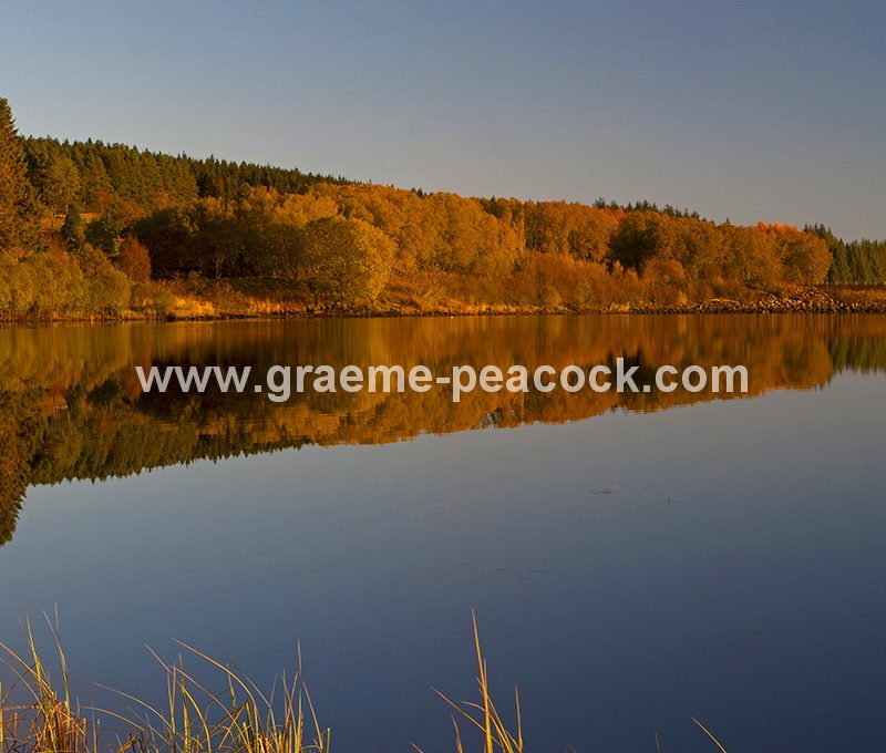 Kielder Water & Kielder Forest Park in Autumn, Kielder, Northumberland