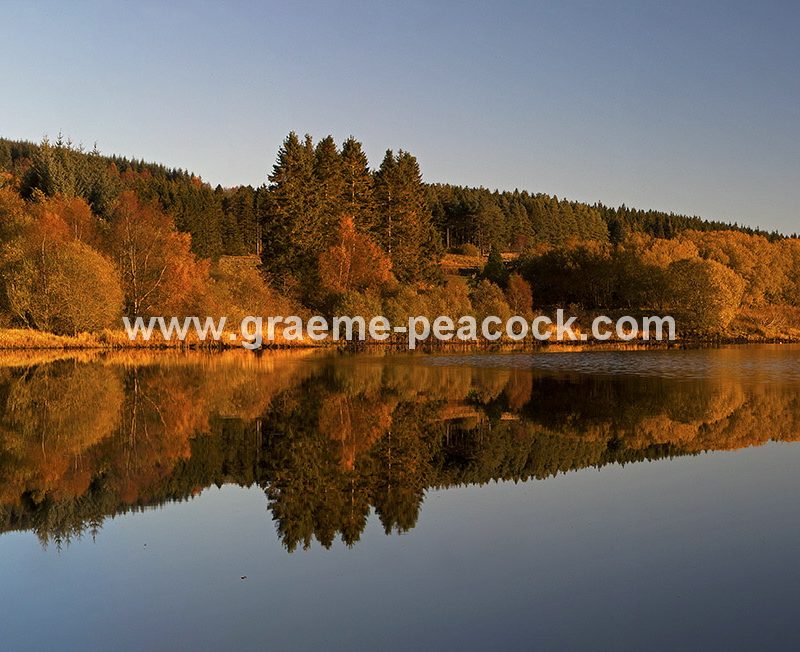 Kielder Water & Kielder Forest Park in Autumn, Kielder, Northumberland