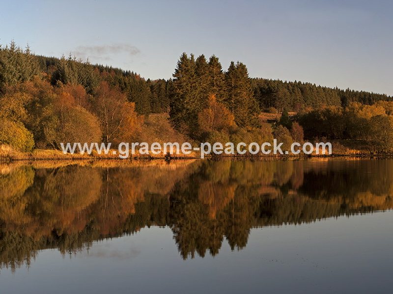 Kielder Water & Kielder Forest Park in Autumn, Kielder, Northumberland
