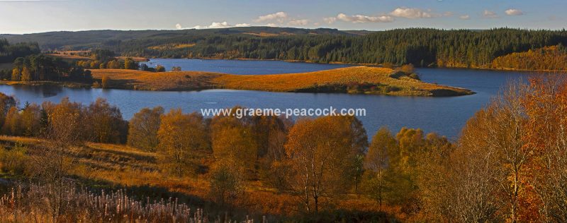 Kielder Water & Kielder Forest Park in Autumn, Kielder, Northumberland