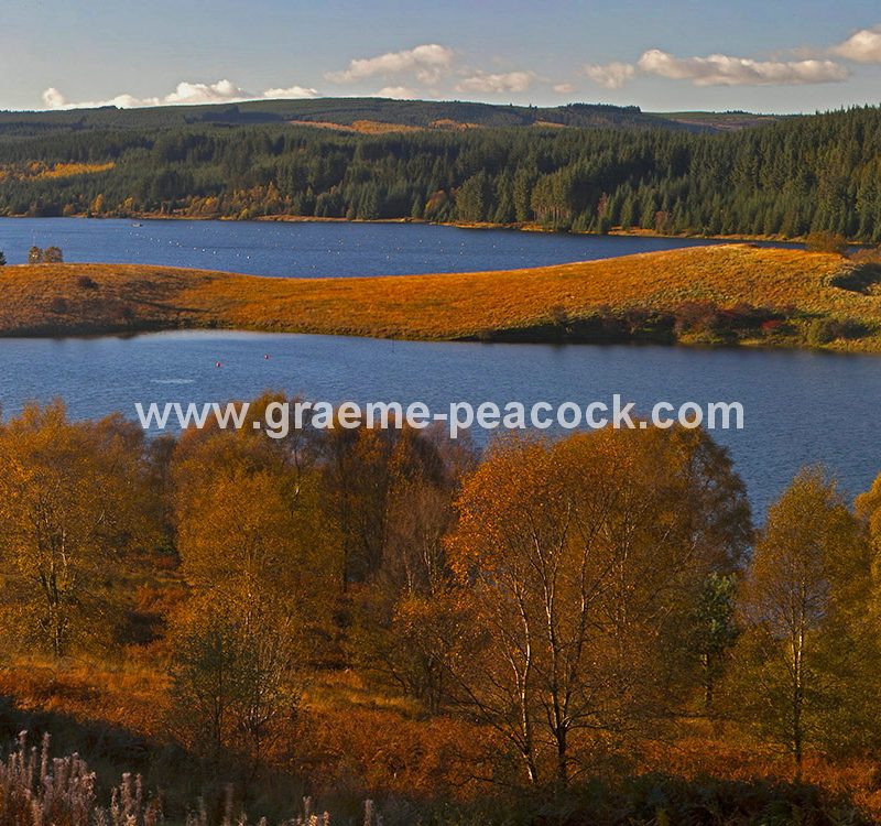Kielder Water & Kielder Forest Park in Autumn, Kielder, Northumberland