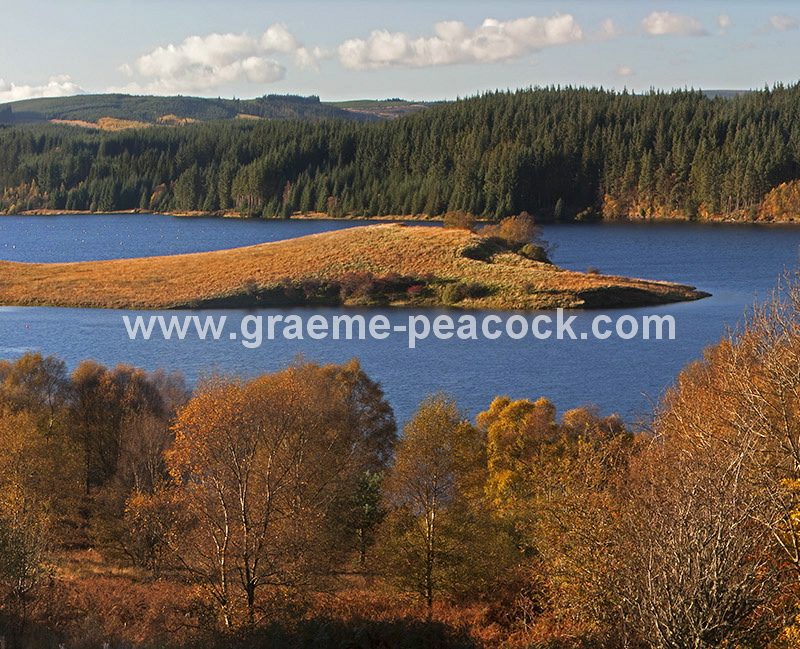 Kielder Water & Kielder Forest Park in Autumn, Kielder, Northumberland