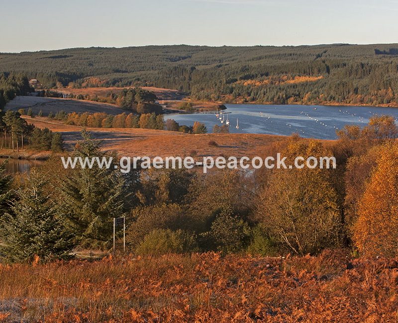 Kielder Water & Kielder Forest Park in Autumn, Kielder, Northumberland