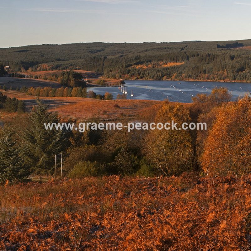 Kielder Water & Kielder Forest Park in Autumn, Kielder, Northumberland