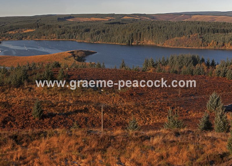 Kielder Water & Kielder Forest Park in Autumn, Kielder, Northumberland