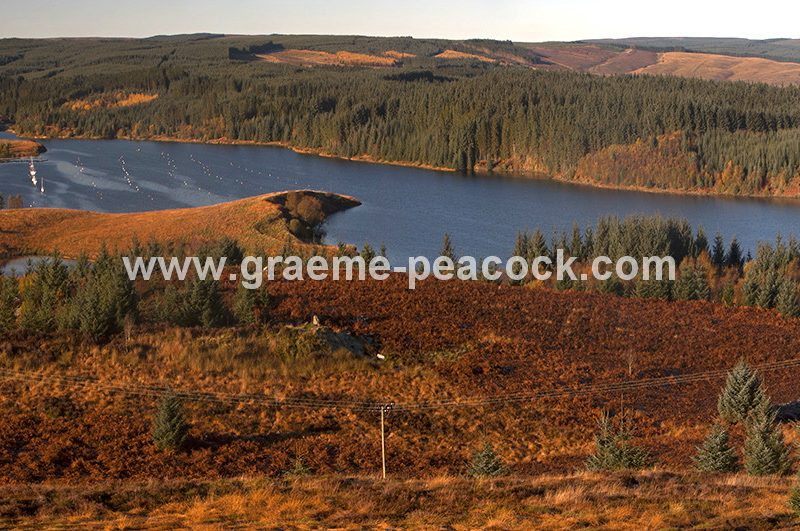 Kielder Water & Kielder Forest Park in Autumn, Kielder, Northumberland