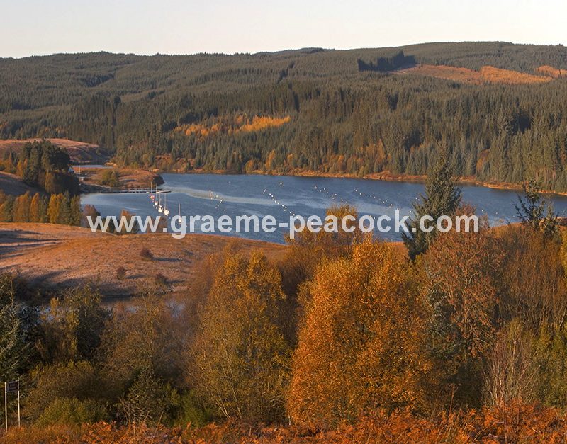 Kielder Water & Kielder Forest Park in Autumn, Kielder, Northumberland