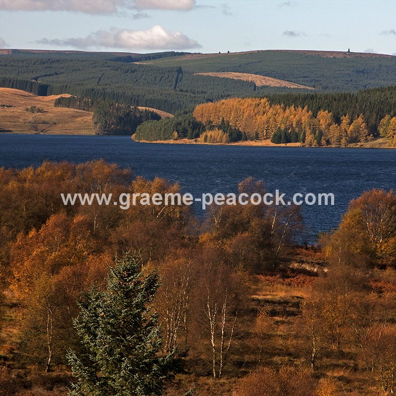 Kielder Water & Kielder Forest Park in Autumn, Kielder, Northumberland