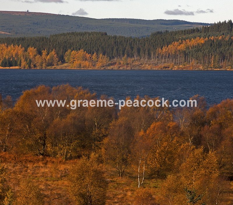 Kielder Water & Kielder Forest Park in Autumn, Kielder, Northumberland
