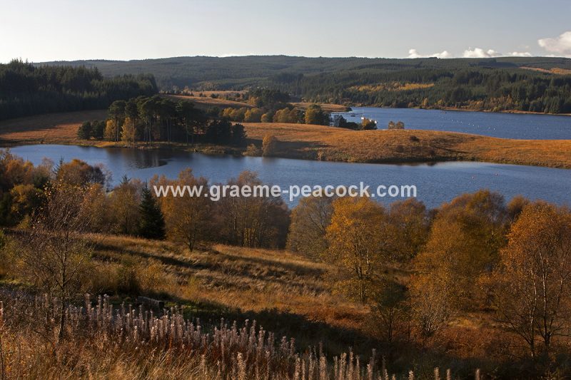 Kielder Water & Kielder Forest Park in Autumn, Kielder, Northumberland