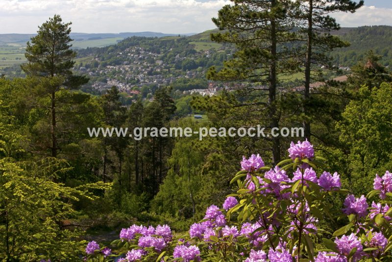 Cragside Estate near Rothbury, Northumberland (National Trust)