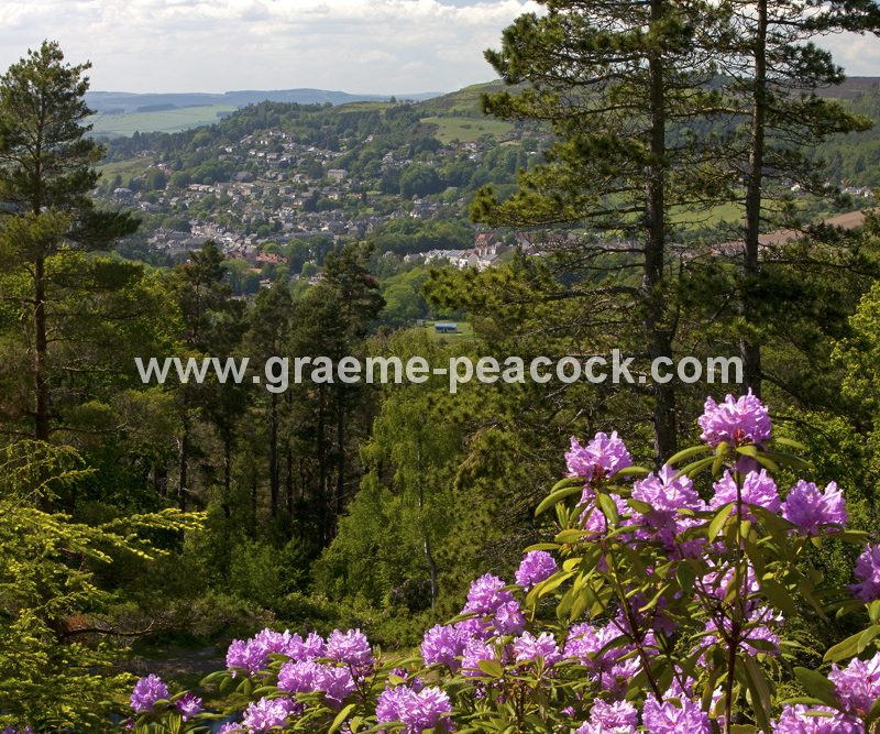Cragside Estate near Rothbury, Northumberland (National Trust)