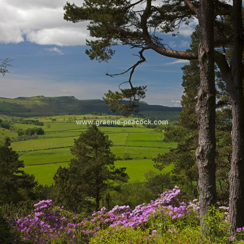 Cragside Estate near Rothbury, Northumberland (National Trust)