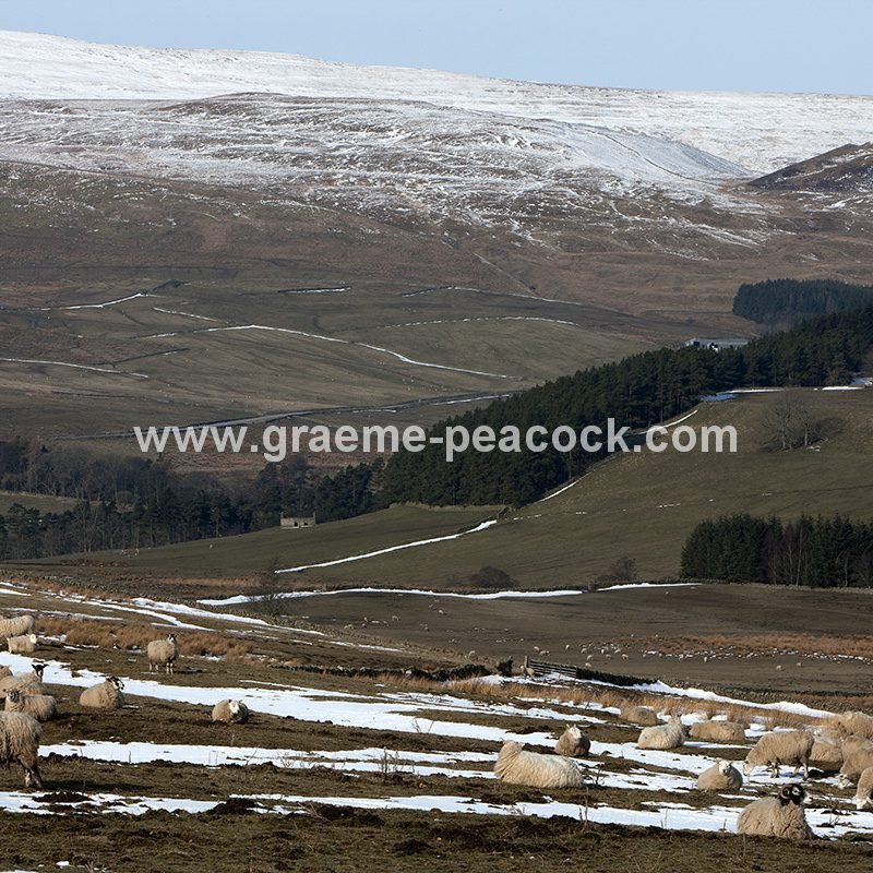 Alston Moor in winter near Alston, Cumbria