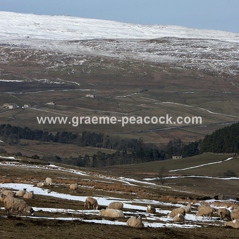 Alston Moor in winter near Alston, Cumbria