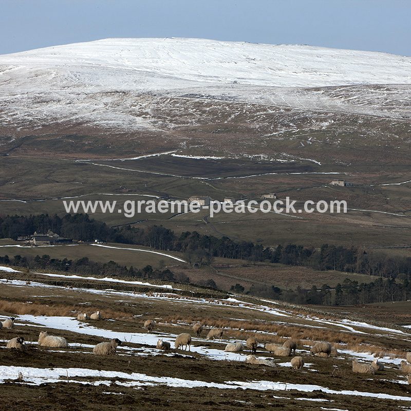 Alston Moor in winter near Alston, Cumbria