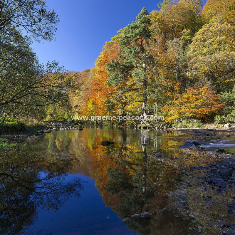 Allenbanks and Staward gorge near Bardon Mill, Northumberland