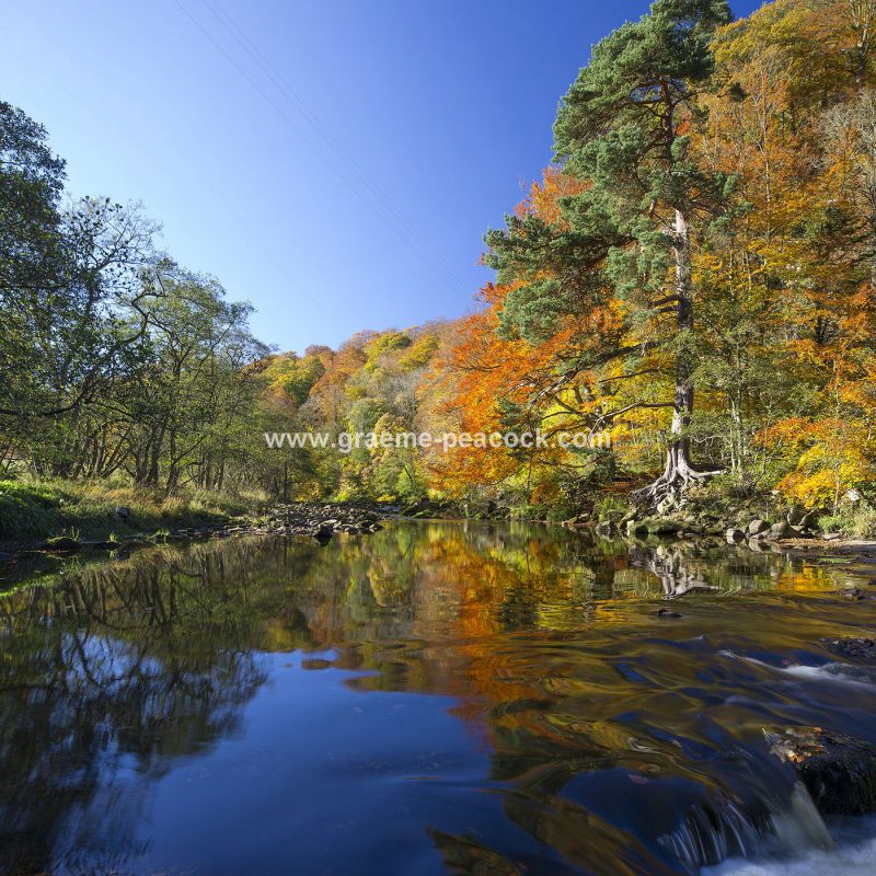 Allenbanks and Staward gorge near Bardon Mill, Northumberland
