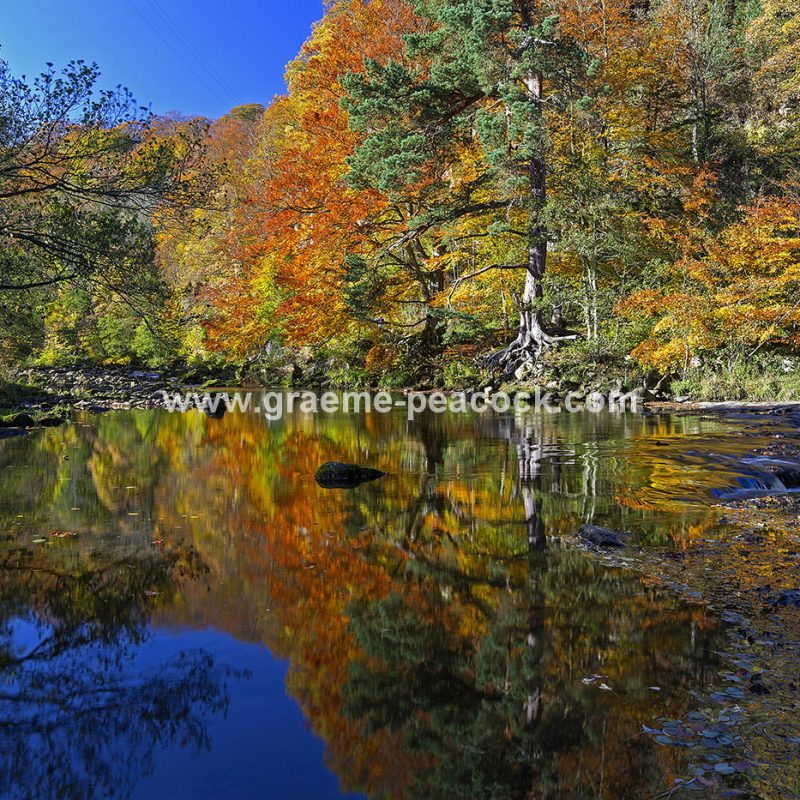Allenbanks and Staward gorge near Bardon Mill, Northumberland