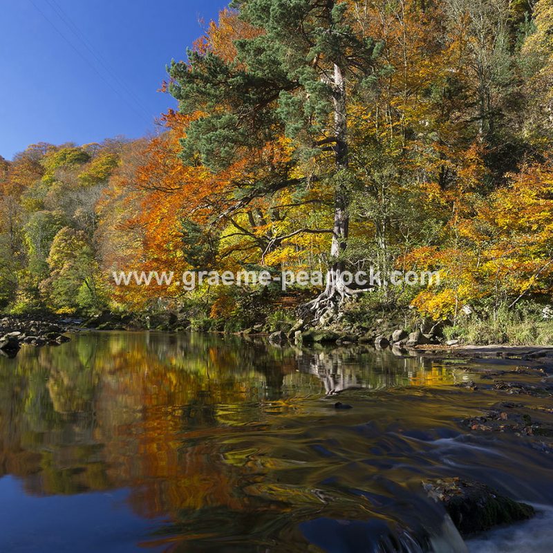 Allenbanks and Staward gorge near Bardon Mill, Northumberland