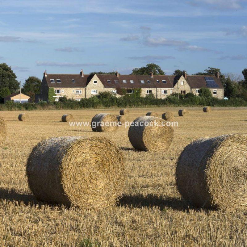 Harvest time along the Tyne Valley near Wylam, Northumberland