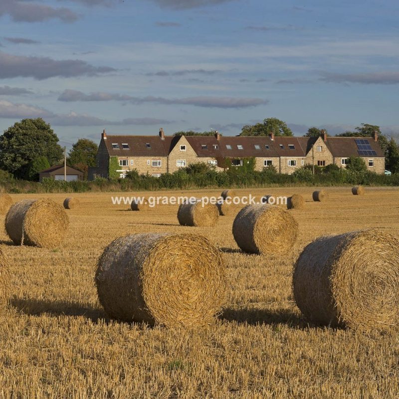 Harvest time along the Tyne Valley near Wylam, Northumberland