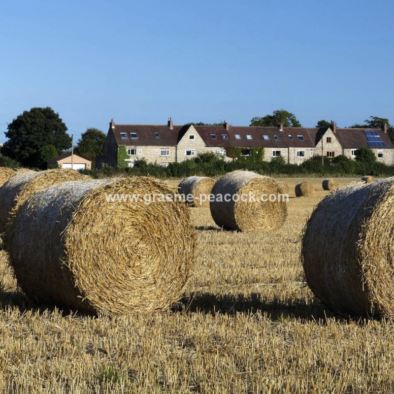 Harvest time along the Tyne Valley near Wylam, Northumberland