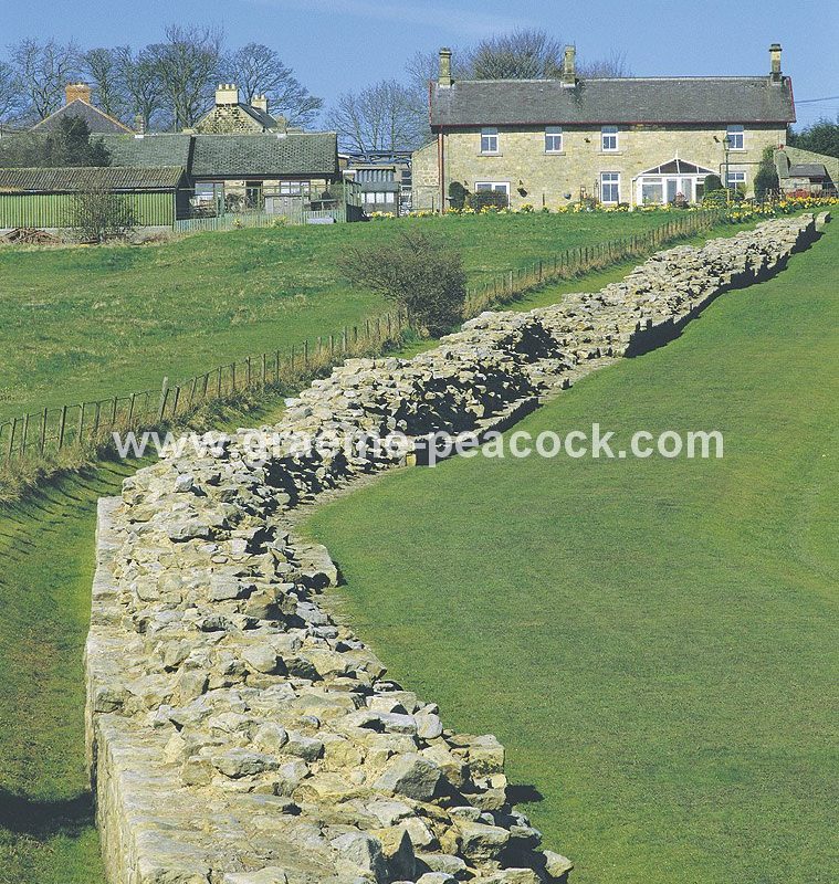 Heddon on the Wall