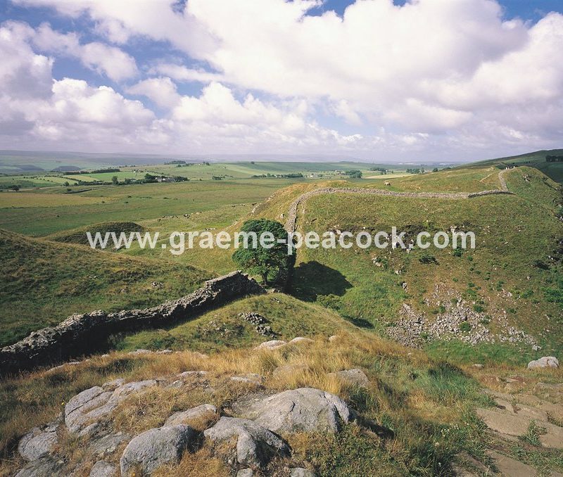 Hadrian's Wall at Sycamore Gap