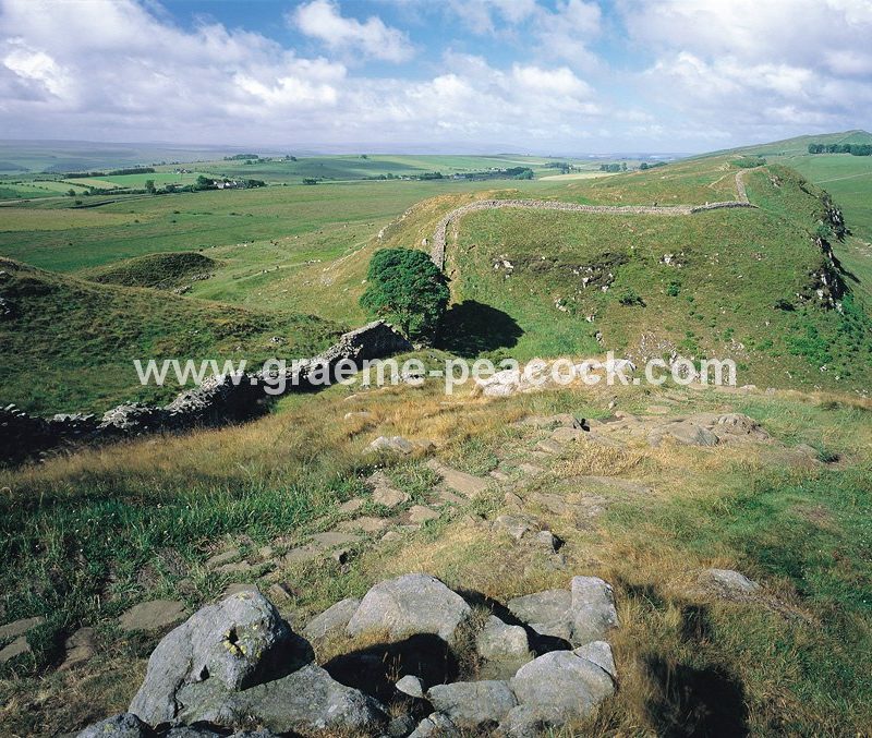Hadrian's Wall at Sycamore Gap