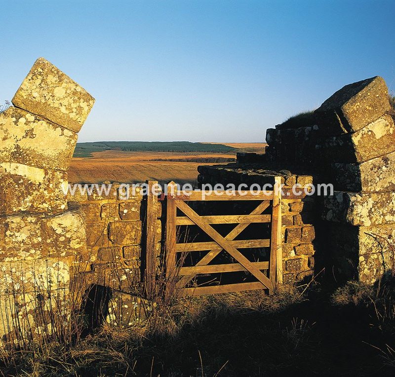 Hadrian's Wall at Milecastle 37 near Once Brewed, Northumberland