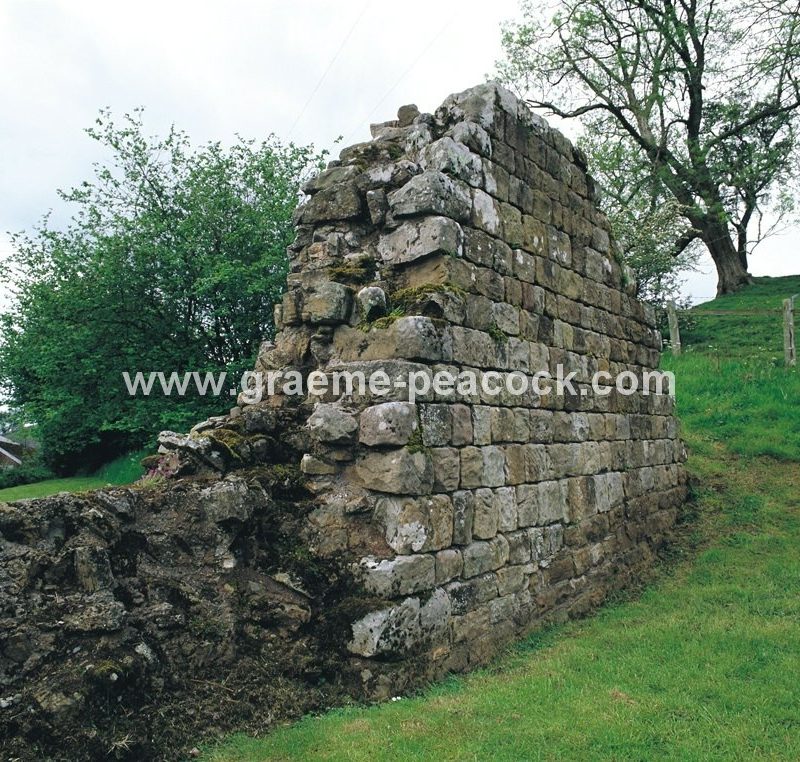 Harehill near Banks, Cumbria, HWNT