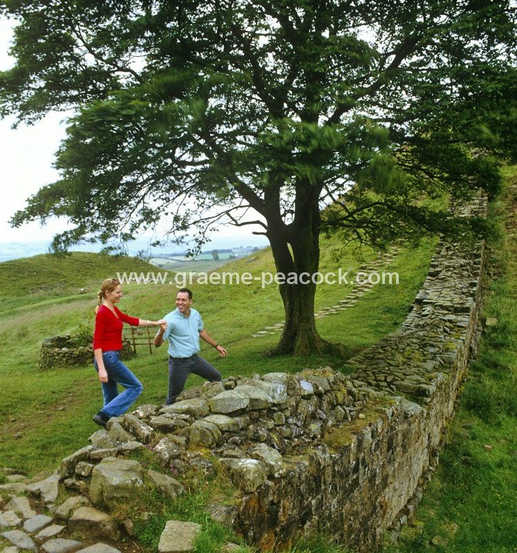 Hadrian's Wall at Sycamore Gap, near Twice Brewed, Northumberland