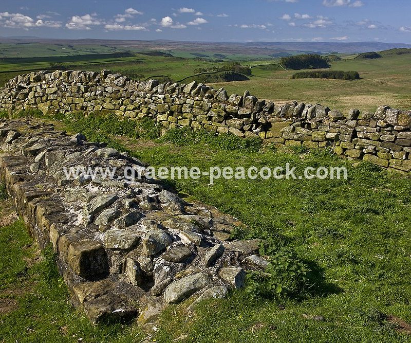 Hadrian's Wall at Sewingshields Crags, near Bardon Mill, Northumberland