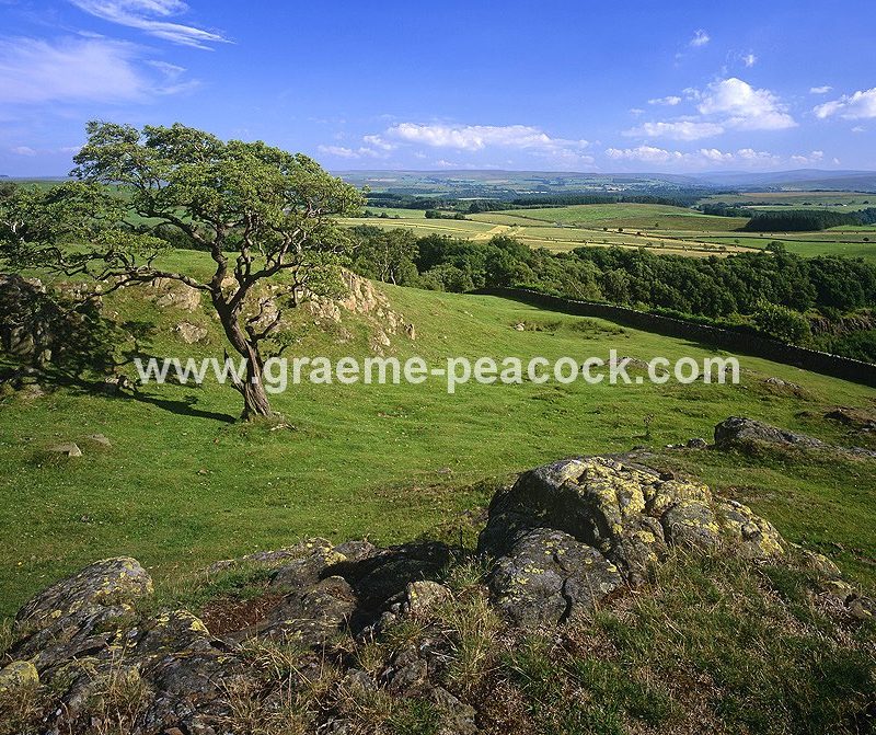 Walltown Crags, near Greenhead, Northumberland National Park