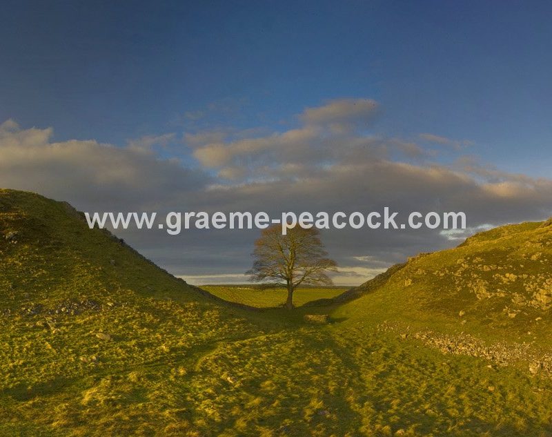 Hadrian's Wall at Sycamore Gap, nr Twice Brewed, Northumberland