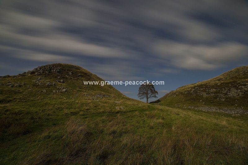 Sycamore Gap on Hadrian's Wall under a full moon, Northumberland (National Trust)