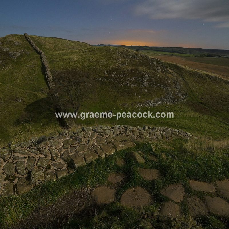 Sycamore Gap on Hadrian's Wall under a full moon, Northumberland (National Trust)